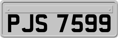 PJS7599