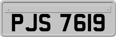 PJS7619