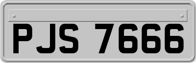 PJS7666