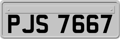 PJS7667