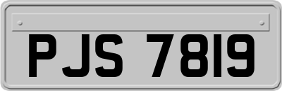 PJS7819