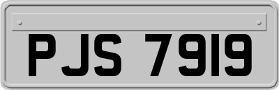 PJS7919