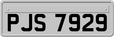 PJS7929