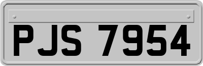 PJS7954