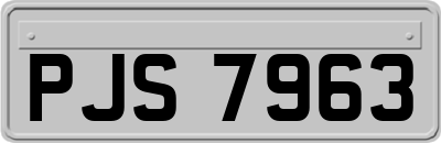 PJS7963
