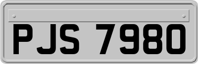 PJS7980