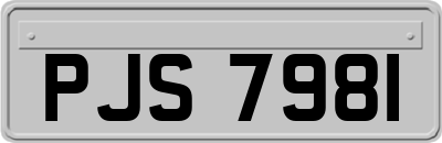 PJS7981