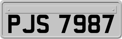 PJS7987