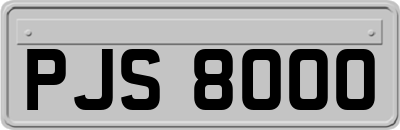 PJS8000