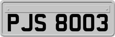 PJS8003
