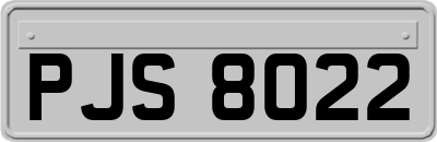 PJS8022