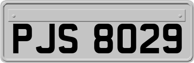 PJS8029