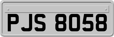 PJS8058