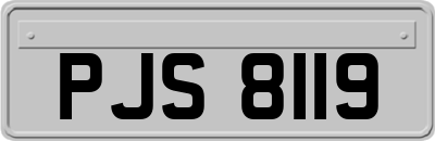 PJS8119
