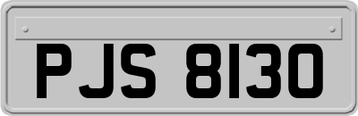 PJS8130
