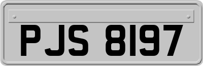 PJS8197