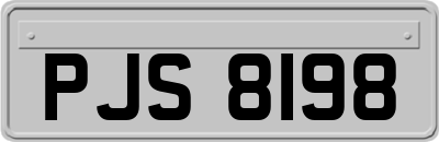 PJS8198