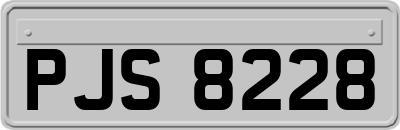 PJS8228