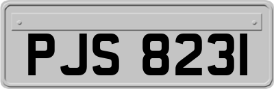 PJS8231