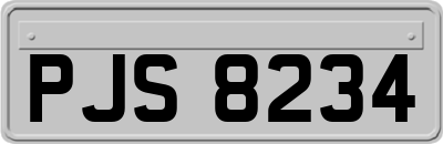 PJS8234