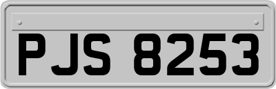 PJS8253