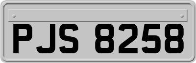 PJS8258