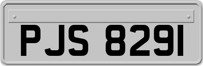 PJS8291
