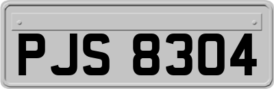 PJS8304