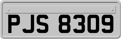 PJS8309
