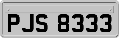 PJS8333