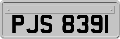 PJS8391