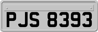 PJS8393