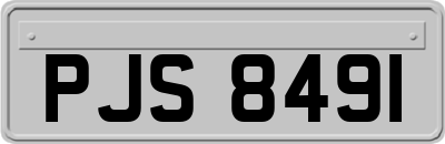 PJS8491