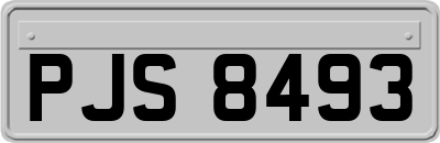 PJS8493