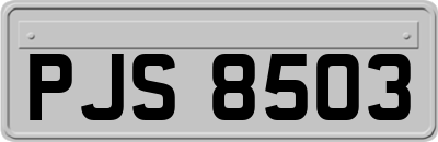 PJS8503