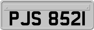 PJS8521