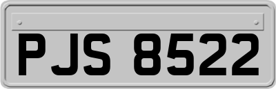 PJS8522