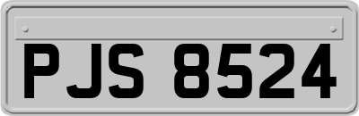 PJS8524