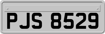 PJS8529