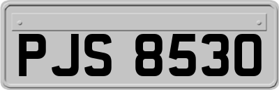 PJS8530