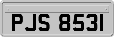 PJS8531