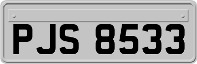 PJS8533