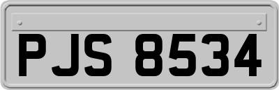 PJS8534