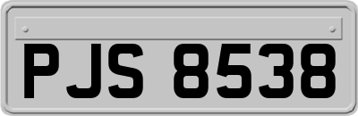 PJS8538