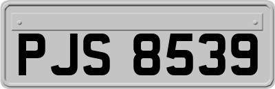 PJS8539