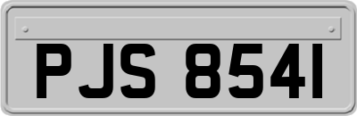 PJS8541
