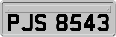 PJS8543