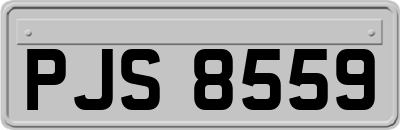 PJS8559