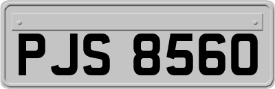 PJS8560