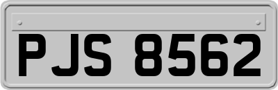 PJS8562